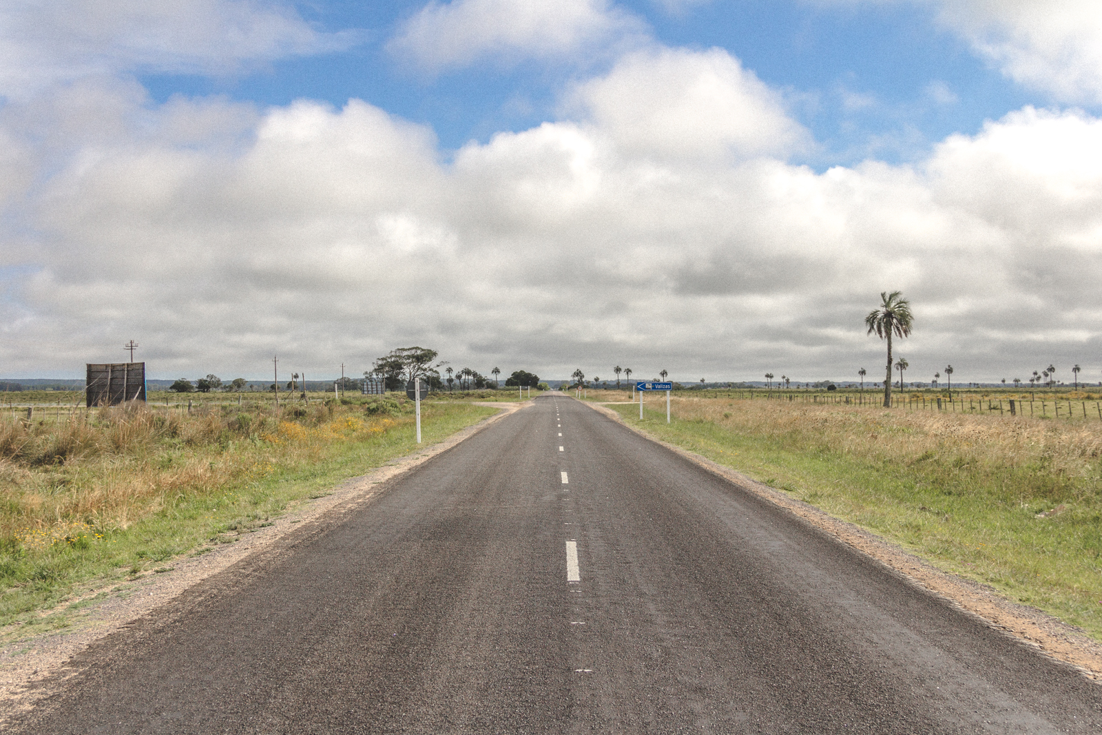 Ruta 10. Uruguay. In Bloom